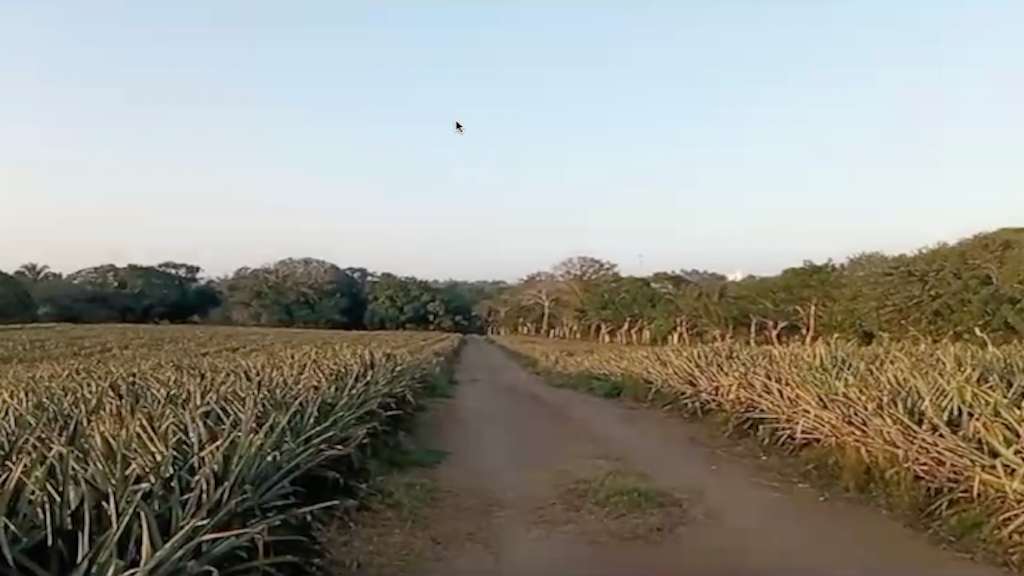 Terrenos en Venta en Los Robles, Medellín | Desde 3.5 hasta 10 Hectáreas